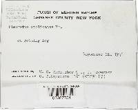 Image Associated With the Occurrence