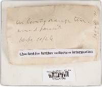 Image Associated With the Occurrence