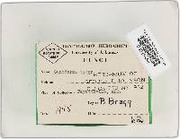 Image Associated With the Occurrence