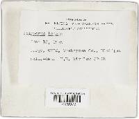 Image Associated With the Occurrence