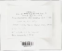 Cryptosphaeria eunomia image