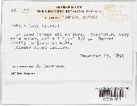 Image Associated With the Occurrence