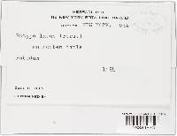 Image Associated With the Occurrence