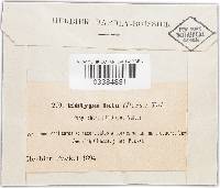 Image Associated With the Occurrence