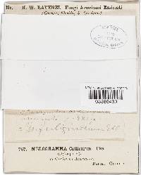Image Associated With the Occurrence