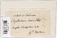 Image Associated With the Occurrence