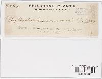 Image Associated With the Occurrence