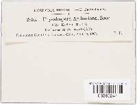 Image Associated With the Occurrence