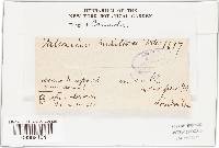 Image Associated With the Occurrence