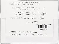 Thumbnail image of current specimen