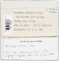 Image Associated With the Occurrence