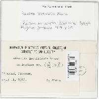 Image Associated With the Occurrence