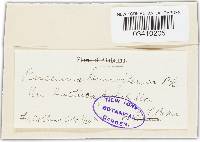 Image Associated With the Occurrence