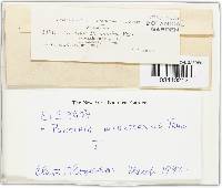 Image Associated With the Occurrence