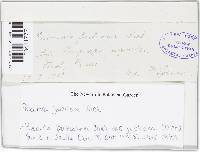 Image Associated With the Occurrence