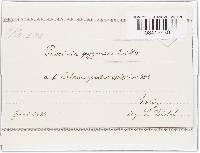 Image Associated With the Occurrence