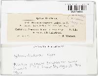 Image Associated With the Occurrence