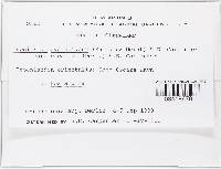 Thumbnail image of current specimen