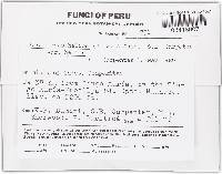 Thumbnail image of current specimen