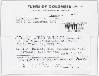 Thumbnail image of current specimen