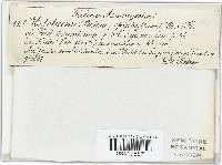 Image Associated With the Occurrence