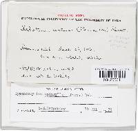 Image Associated With the Occurrence