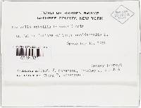 Thumbnail image of current specimen