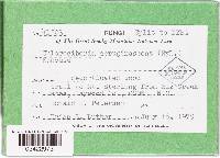 Image Associated With the Occurrence