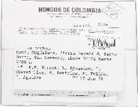 Image Associated With the Occurrence