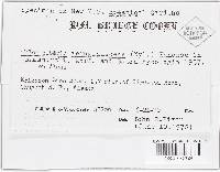 Image Associated With the Occurrence