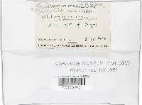 Thumbnail image of current specimen