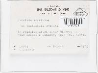 Image Associated With the Occurrence