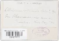 Image Associated With the Occurrence