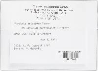 Image Associated With the Occurrence