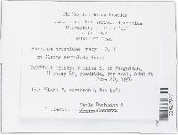 Image Associated With the Occurrence