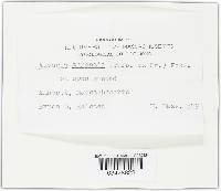 Image Associated With the Occurrence