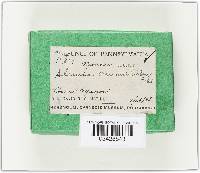 Image Associated With the Occurrence