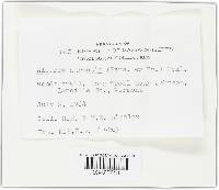 Image Associated With the Occurrence