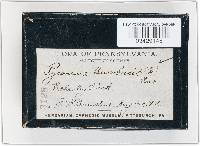 Image Associated With the Occurrence