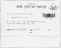 Image Associated With the Occurrence