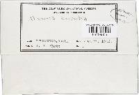 Image Associated With the Occurrence