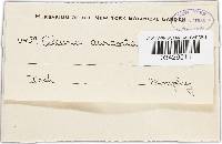 Image Associated With the Occurrence