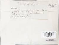 Image Associated With the Occurrence