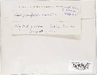 Thumbnail image of current specimen
