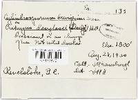 Media resource of Cylindrosporium brevispinum