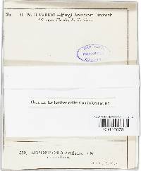 Image Associated With the Occurrence