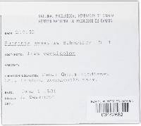 Image Associated With the Occurrence