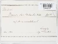 Image Associated With the Occurrence