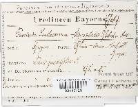 Image Associated With the Occurrence