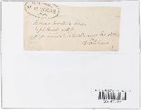 Image Associated With the Occurrence